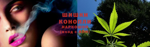 jwh Алзамай