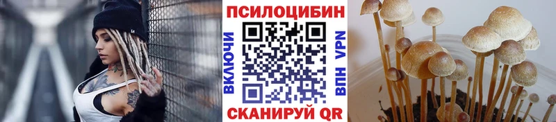 Галлюциногенные грибы MAGIC MUSHROOMS  где купить   kraken ТОР  Долинск 